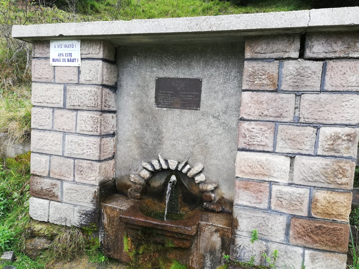 •  Fotó: Baricz-Tamás Imola