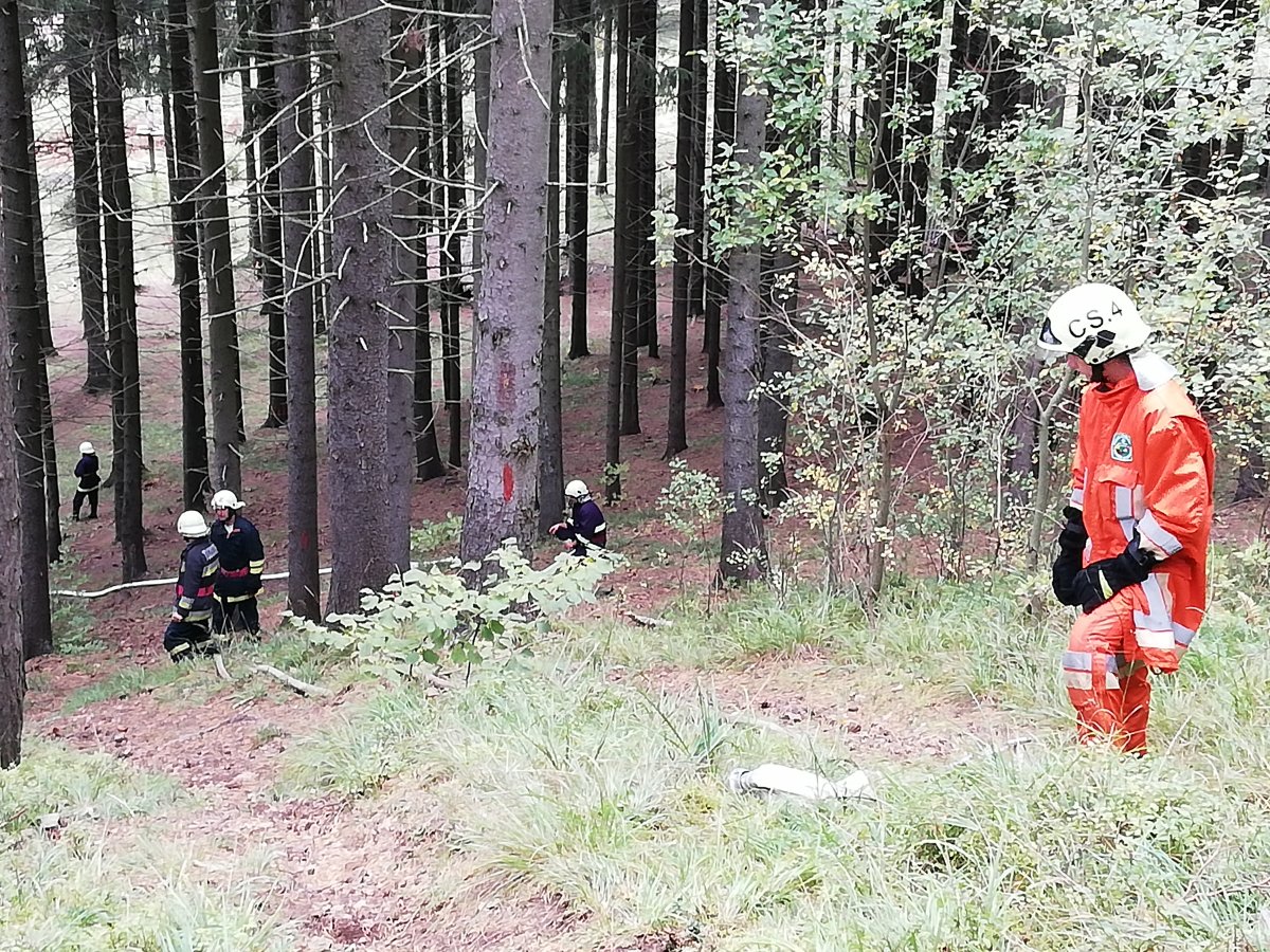 •  Fotó: Pethő Melánia