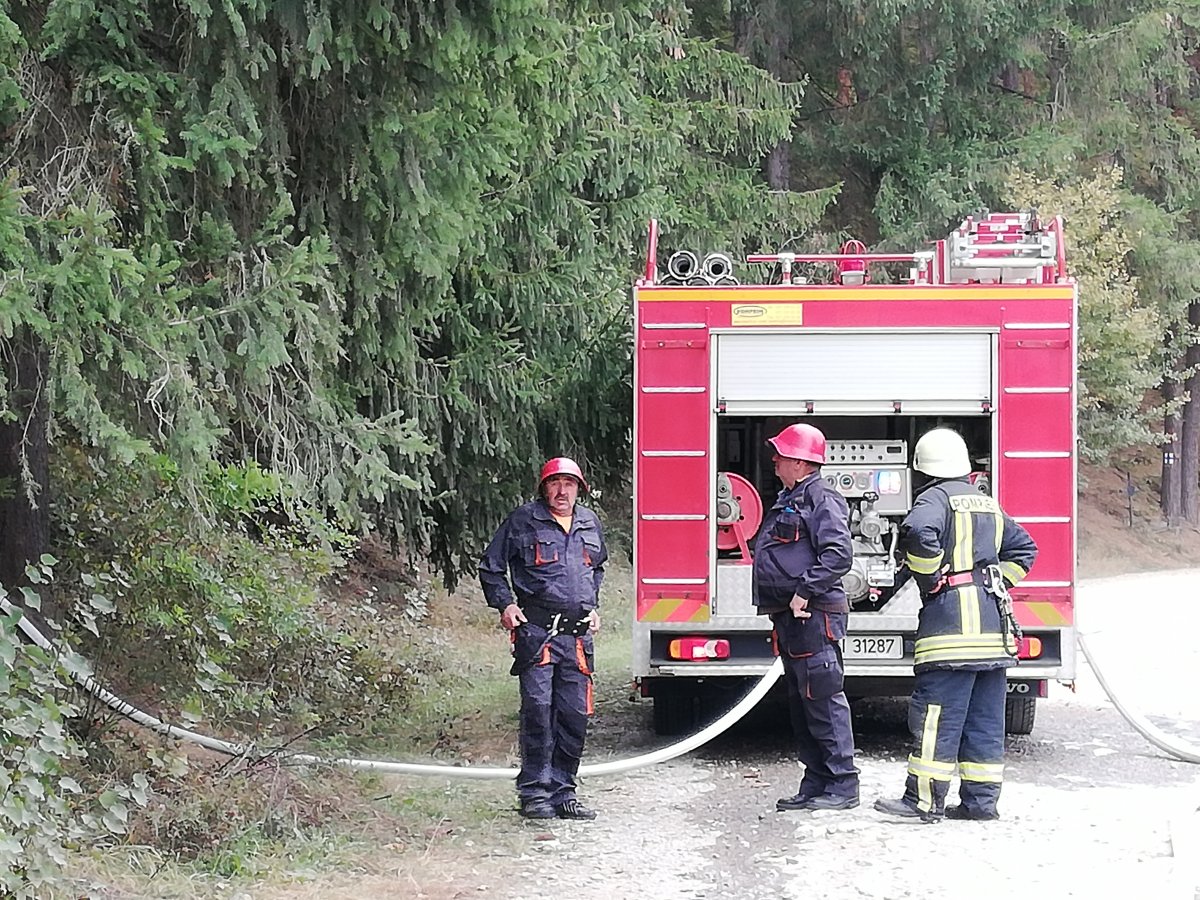 •  Fotó: Pethő Melánia