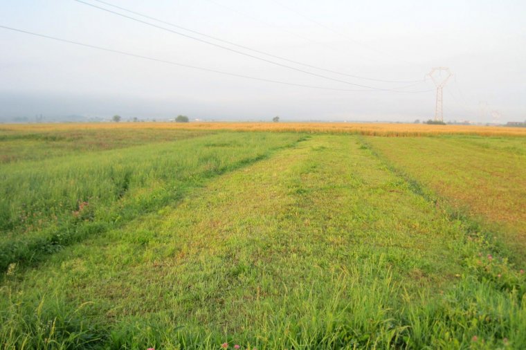 Éjszakai műszakban a tolvajok
