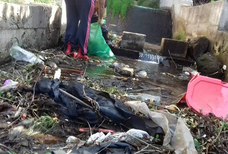 Macska- és kutyatetemeket is találtak a szemétgyűjtés során