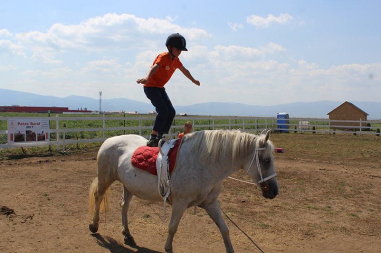 Lovasterápiás program tanulási zavarral, fejlődési nehézségekkel küzdő gyerekeknek
