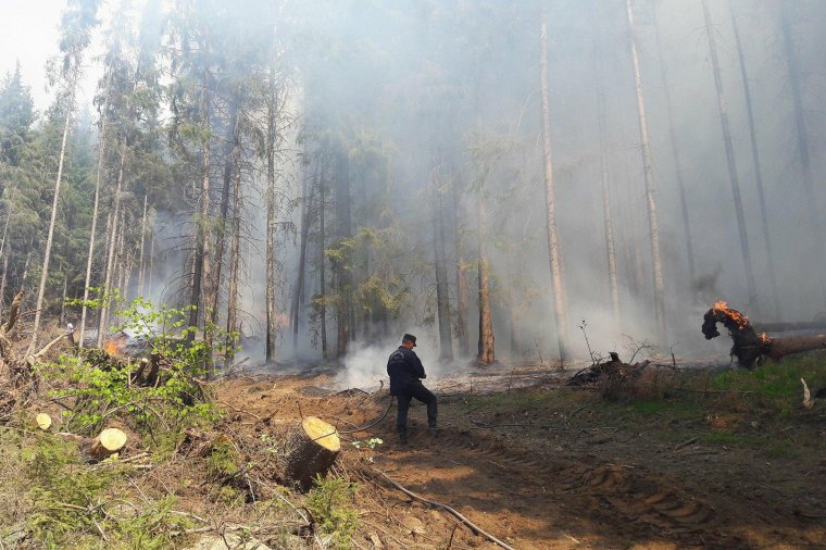 Vasárnaptól ég az erdő Orotván