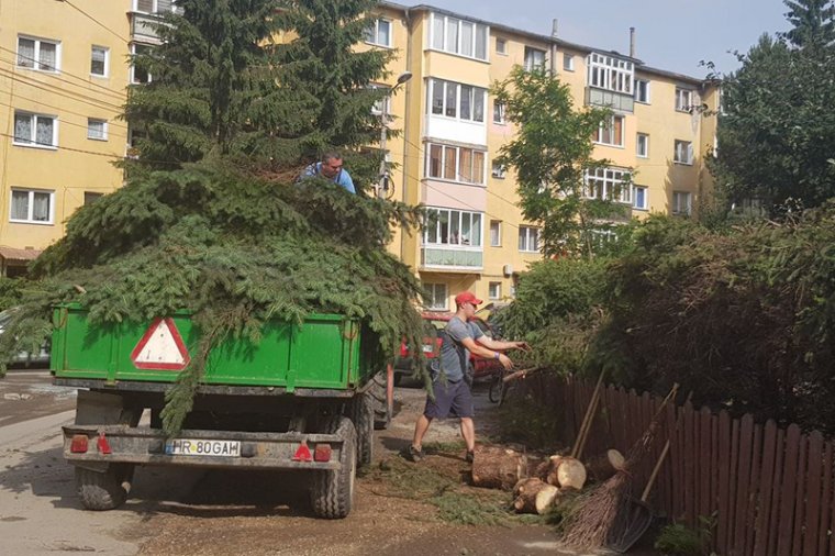 Fákat, telefonoszlopokat döntött ki a vihar Gyergyószéken