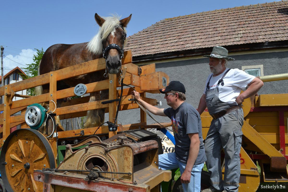 &bullet;  Fotó: Balázs Katalin