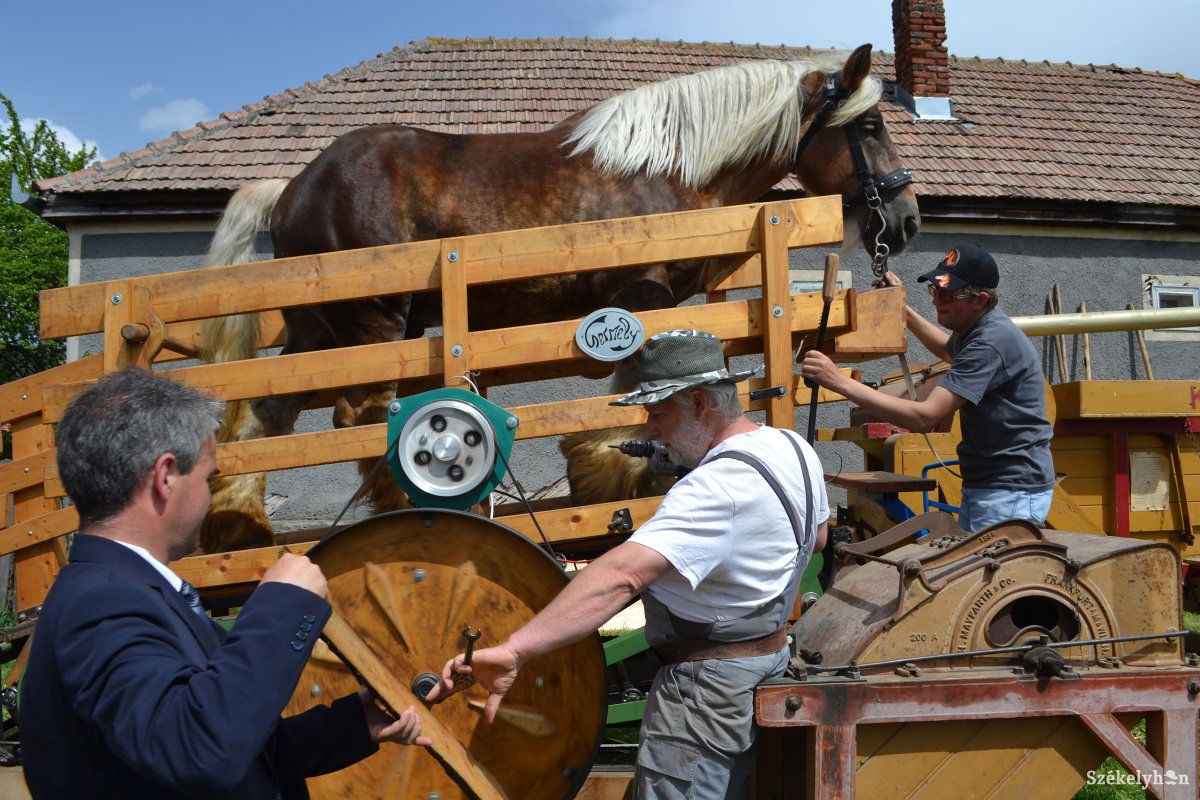 Van, ahol tisztességes jövedelemnek az számít, ami emberi és állati erőből származik &bullet;  Fotó: Balázs Katalin