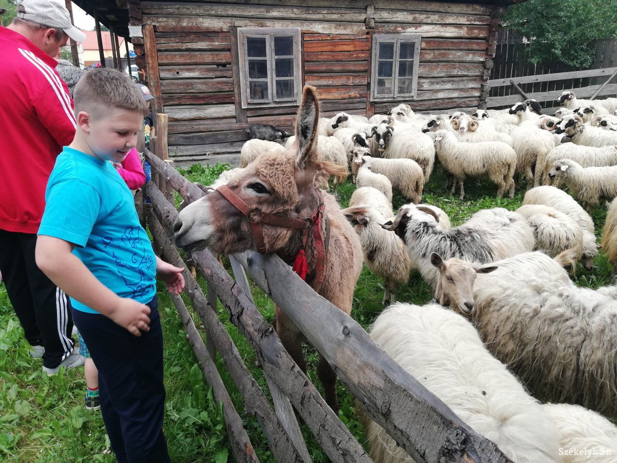 &bullet;  Fotó: Baricz-Tamás Imola