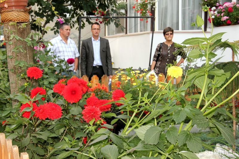 Értékelőbizottság fogja idén is körbejárni a portákat, kiskerteket. Archív • Fotó: Pethő Melánia