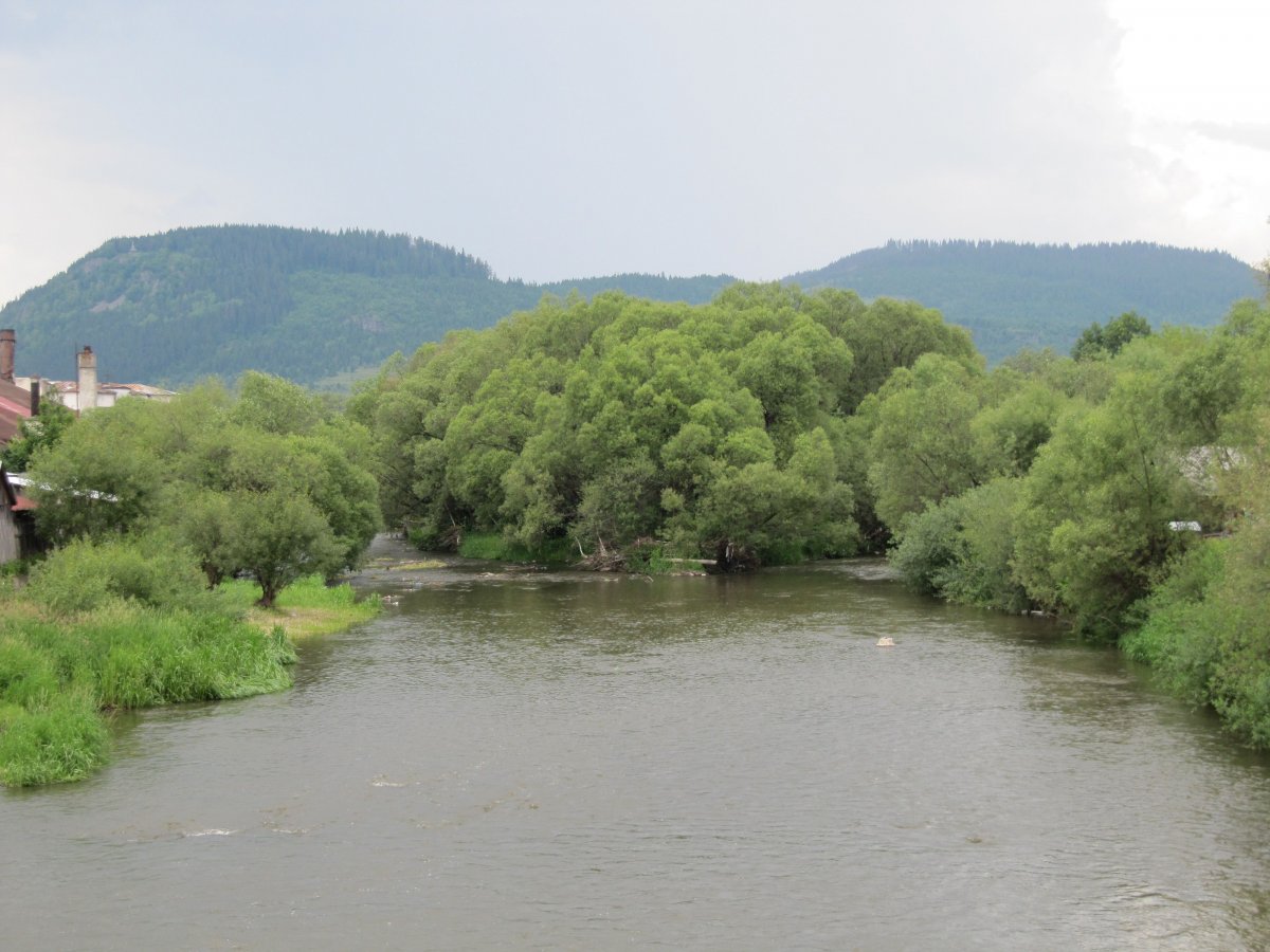 •  Fotó: Czirják Károly