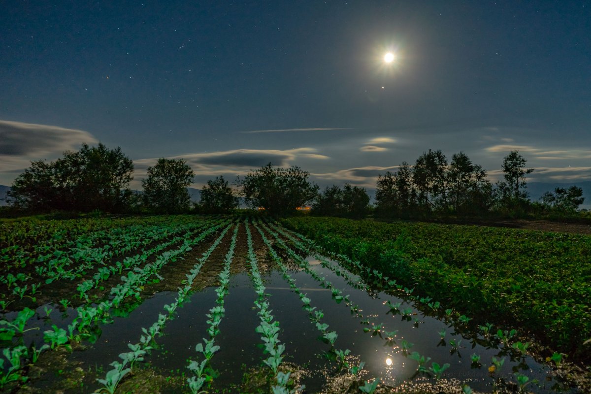A látvány szép, a helyzet drámai • Fotó: Lukács Géza
