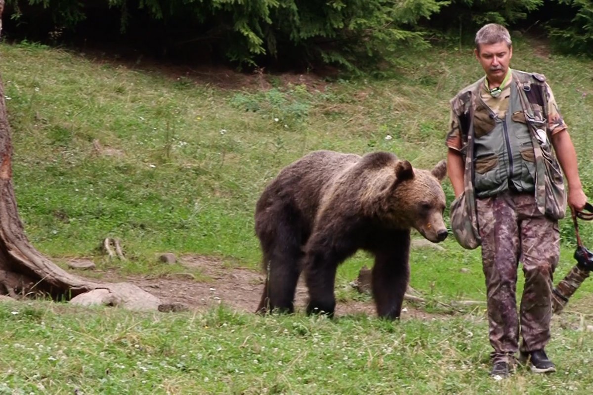 Többszörösen díjazott az ember és medve barátságát bemutató, Lekvár című alkotás &bullet;  Fotó: Zsigmond Attila
