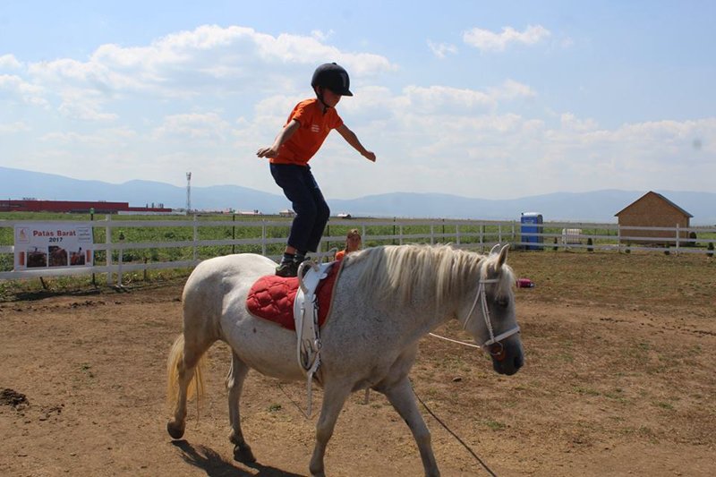 &bullet;  Fotó: Salvator Alapítvány