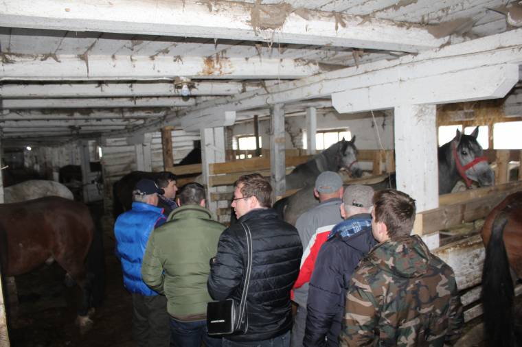 Ezekre a beruházásokra készülnek idén Gyergyócsomafalván