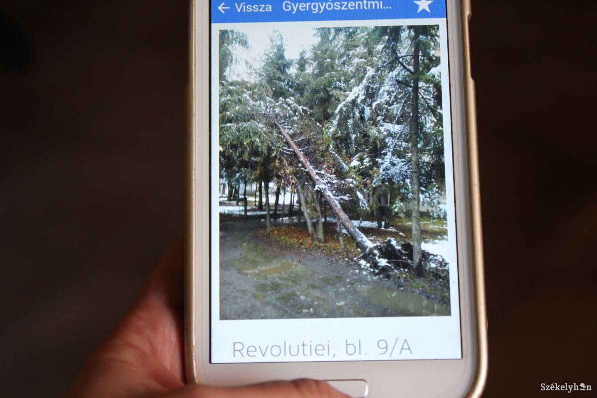 •  Fotó: Pethő Melánia