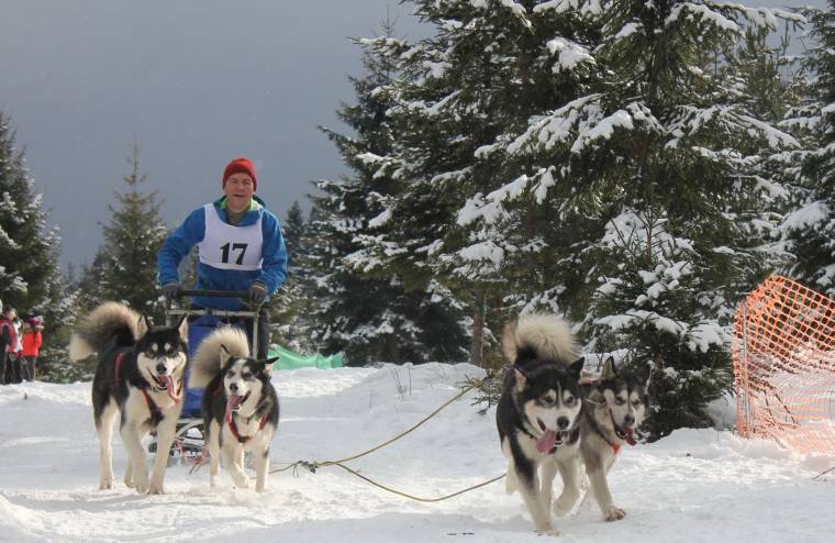 Akik a pályán eggyé válnak a kutyáikkal