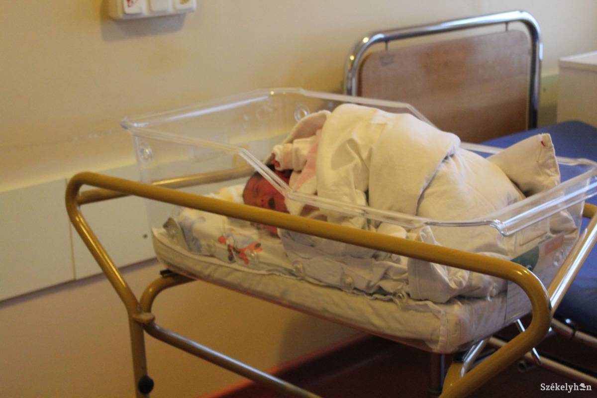 • Fotó: Pethő Melánia