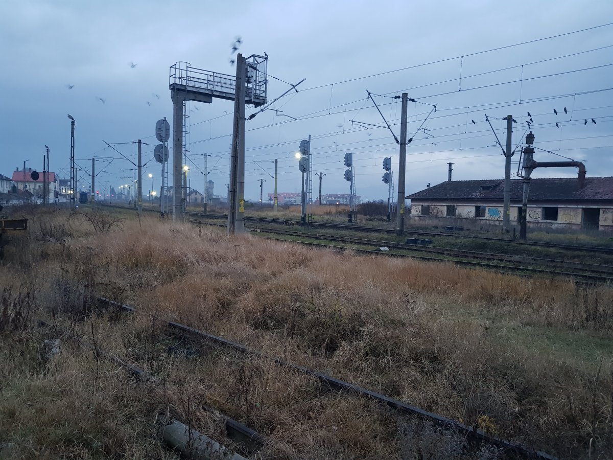 A vasúti pályafejlesztések elmaradása miatt a tehervonatok csak 20 kilométer/órás átlagsebességgel közlekedhetnek •  Fotó: Gergely Imre