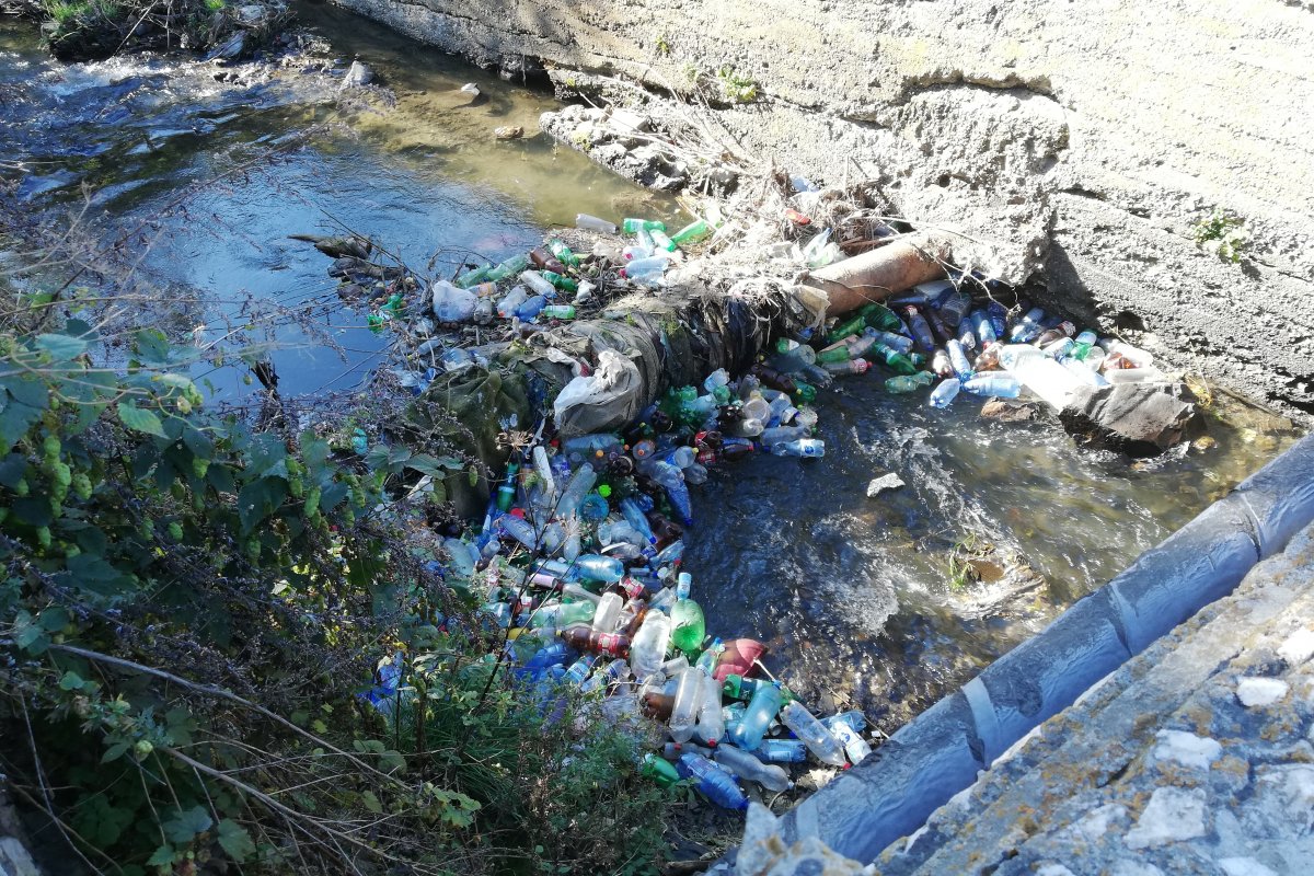 Ilyen látvánnyal találkoztak az áprilisi akció résztvevői. Csak remélni lehet, hogy fennebb nem ennyire súlyos a helyzet •  Fotó: Pethő Melánia
