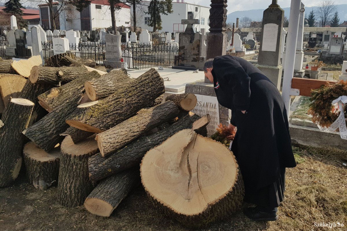 • Fotó: Gergely Imre