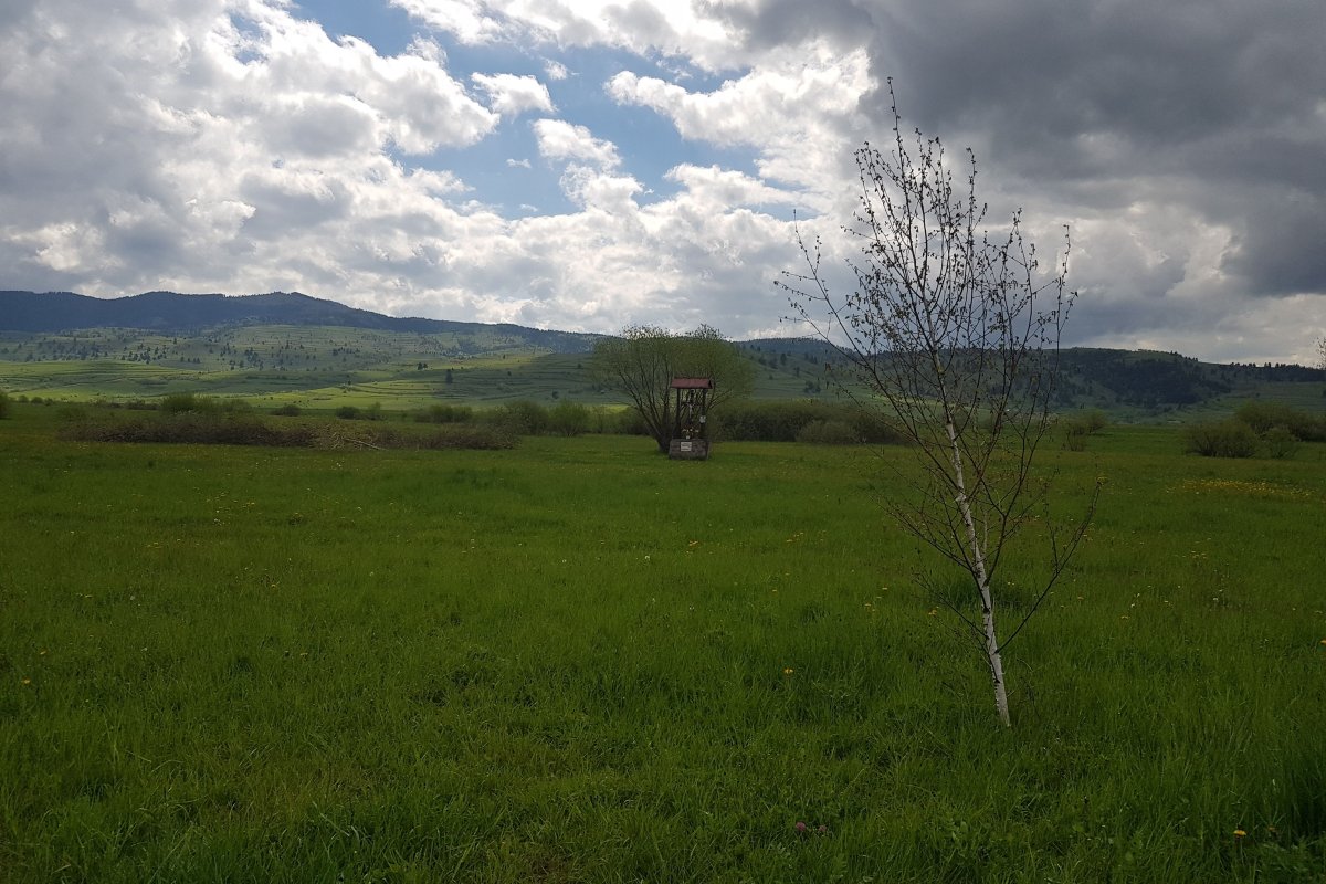 Ezen a helyen zajlanak a búzaszentelések, itt lesz az emlékhely 