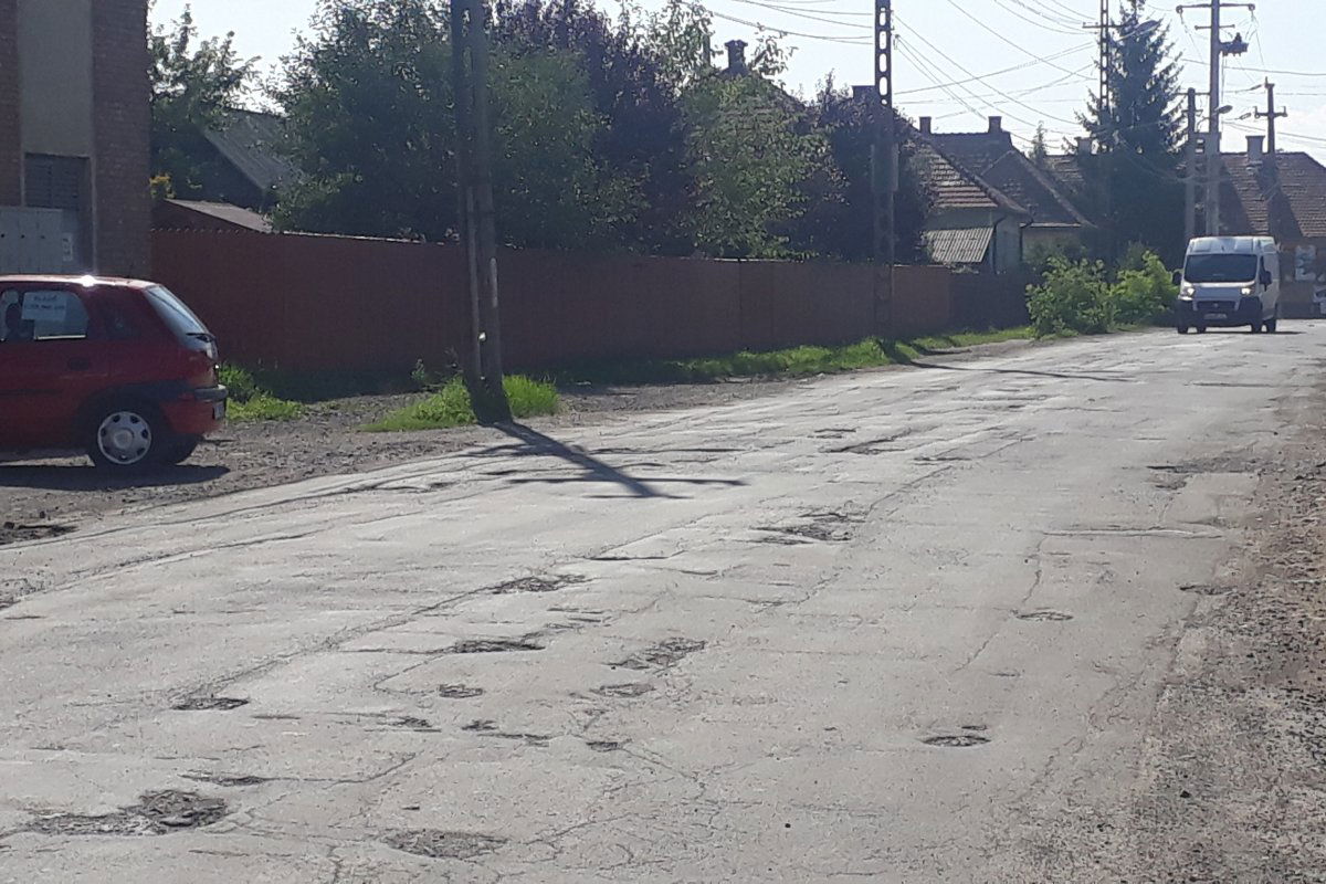 •  Fotó: Hegyi Zsuzsanna