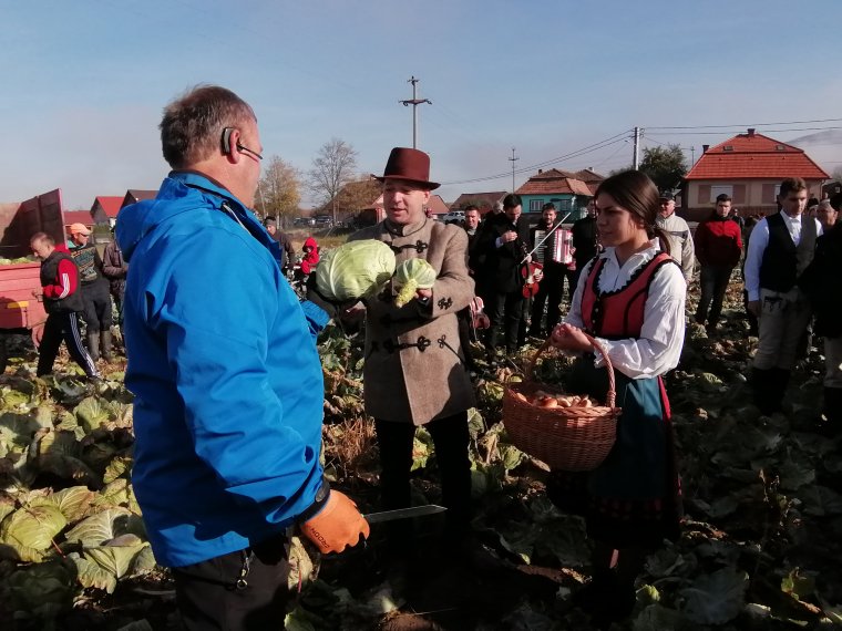 Minden a káposztáról fog szólni a hétvégén Szárhegyen