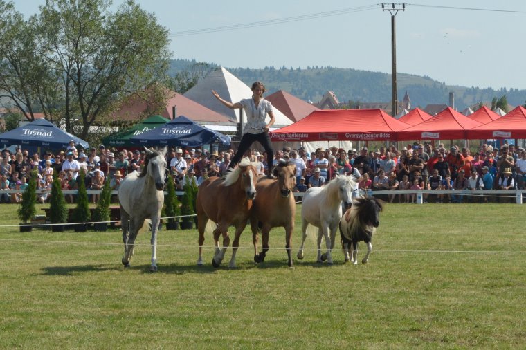 Gyergyószentmiklósra figyelnek a lovas sportok kedvelői