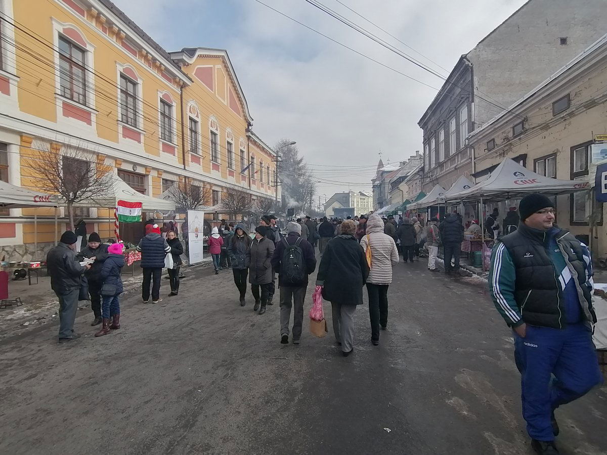 •  Fotó: Hegyi Zsuzsanna