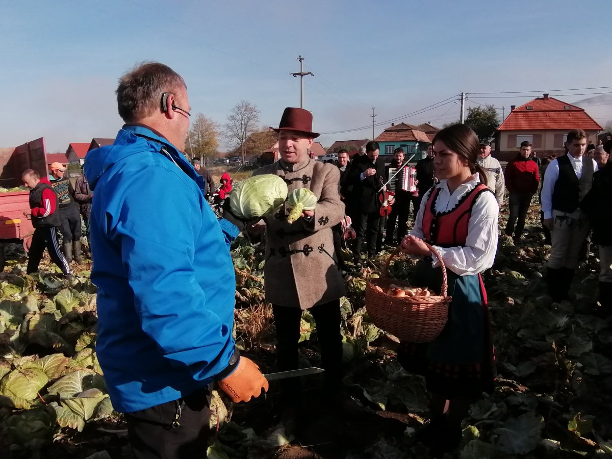 Egy év kényszerszünet után ismét lesz káposztavásár Szárhegyen. Archív 