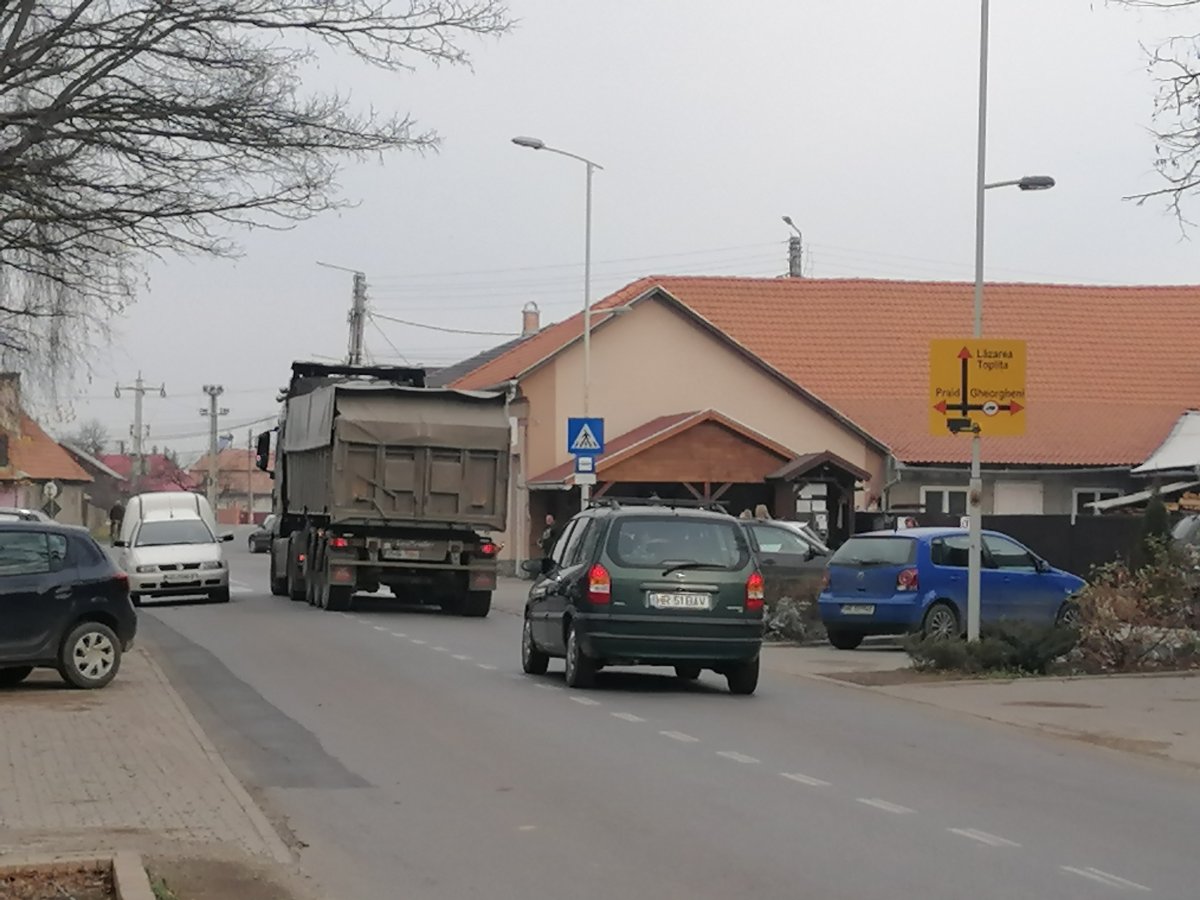 •  Fotó: Hegyi Zsuzsánna