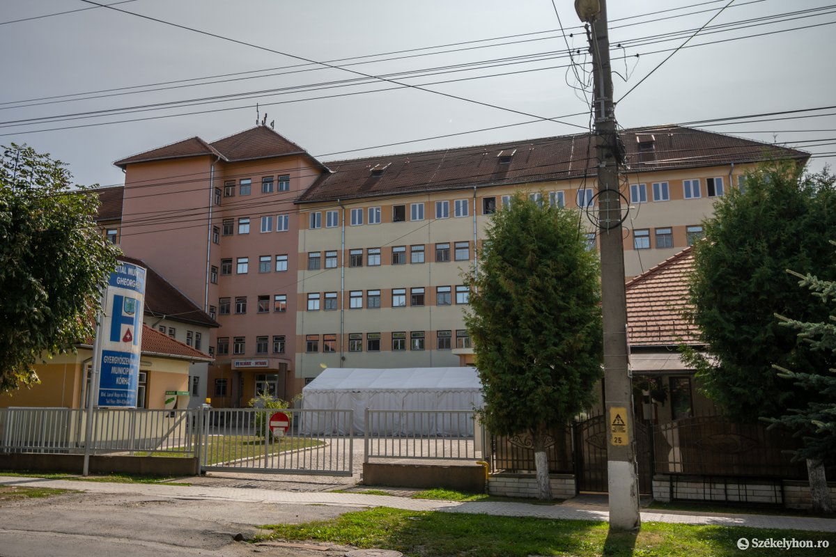 •  Fotó: Pinti Attila