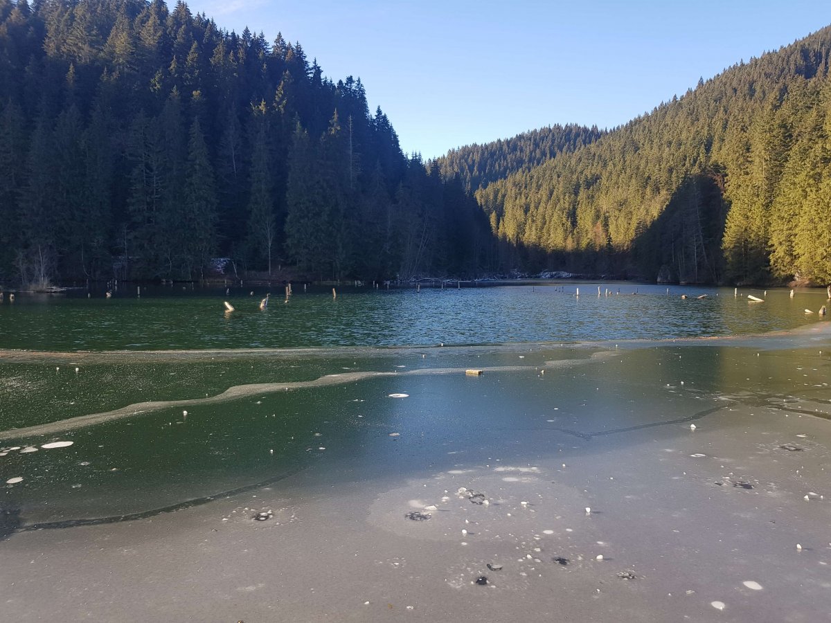 •  Fotó: Gergely Imre