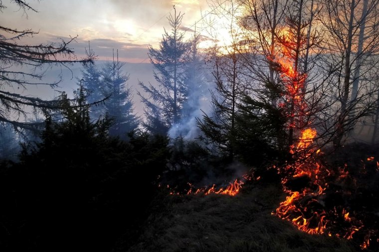 Közel egy napja küzdenek a lángokkal a Pongrác-tető mellett