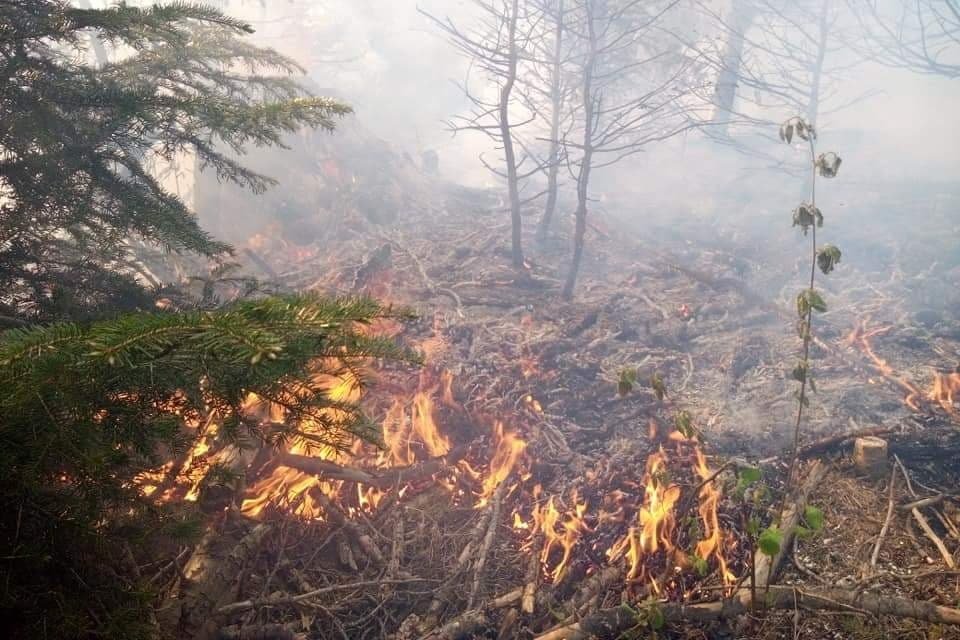 •  Fotó: Hargita megyei tűzoltóság