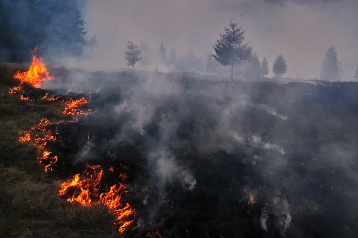 •  Fotó: Hargita megyei tűzoltóság