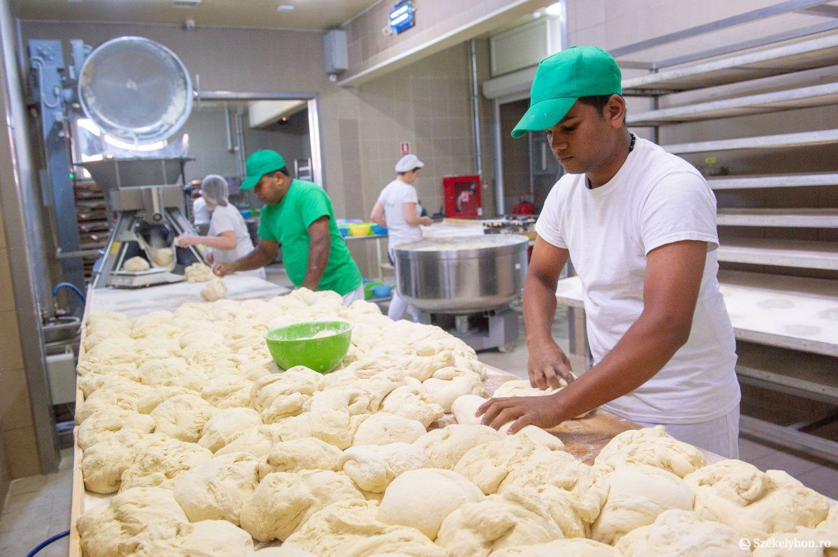 &bullet;  Fotó: Beliczay László