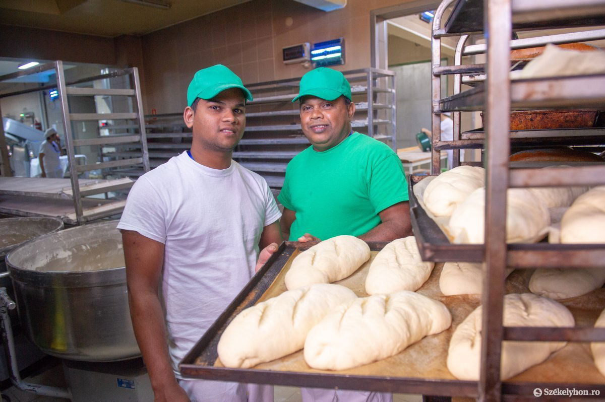 &bullet;  Fotó: Beliczay László