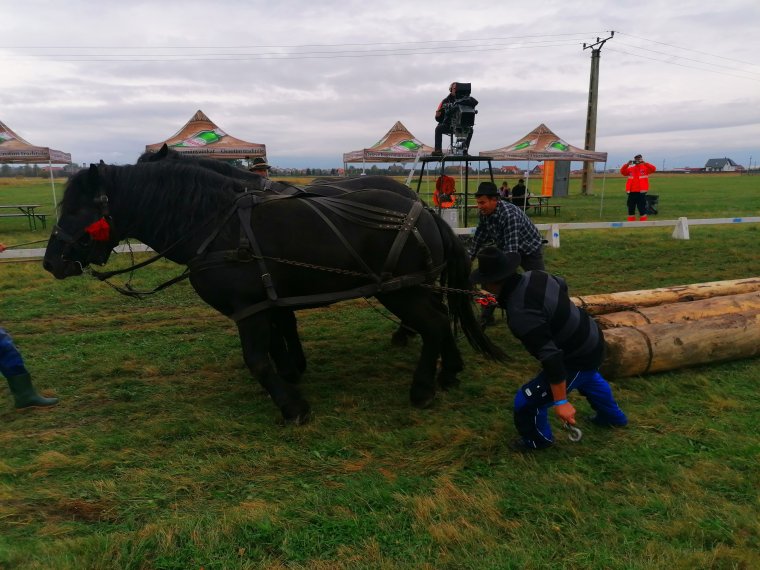 Nézőközönség nélkül zajlott a XIII. Székelyföldi Lovas Ünnep