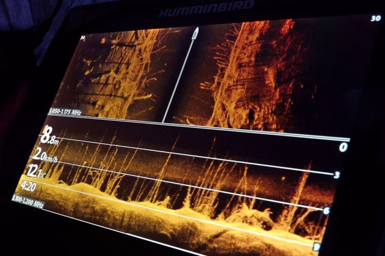 Hangradarral mutatják meg a Gyilkos-tó mélyén lévő erdőt