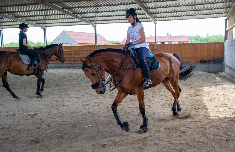 Szintet kell ugrania az erdélyi lovászatnak