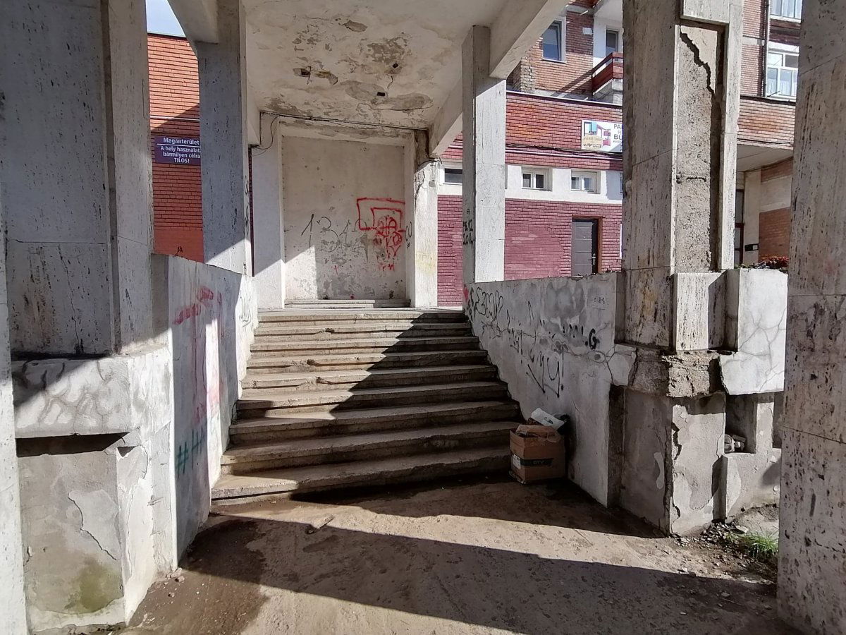•  Fotó: Hegyi Zsuzsanna