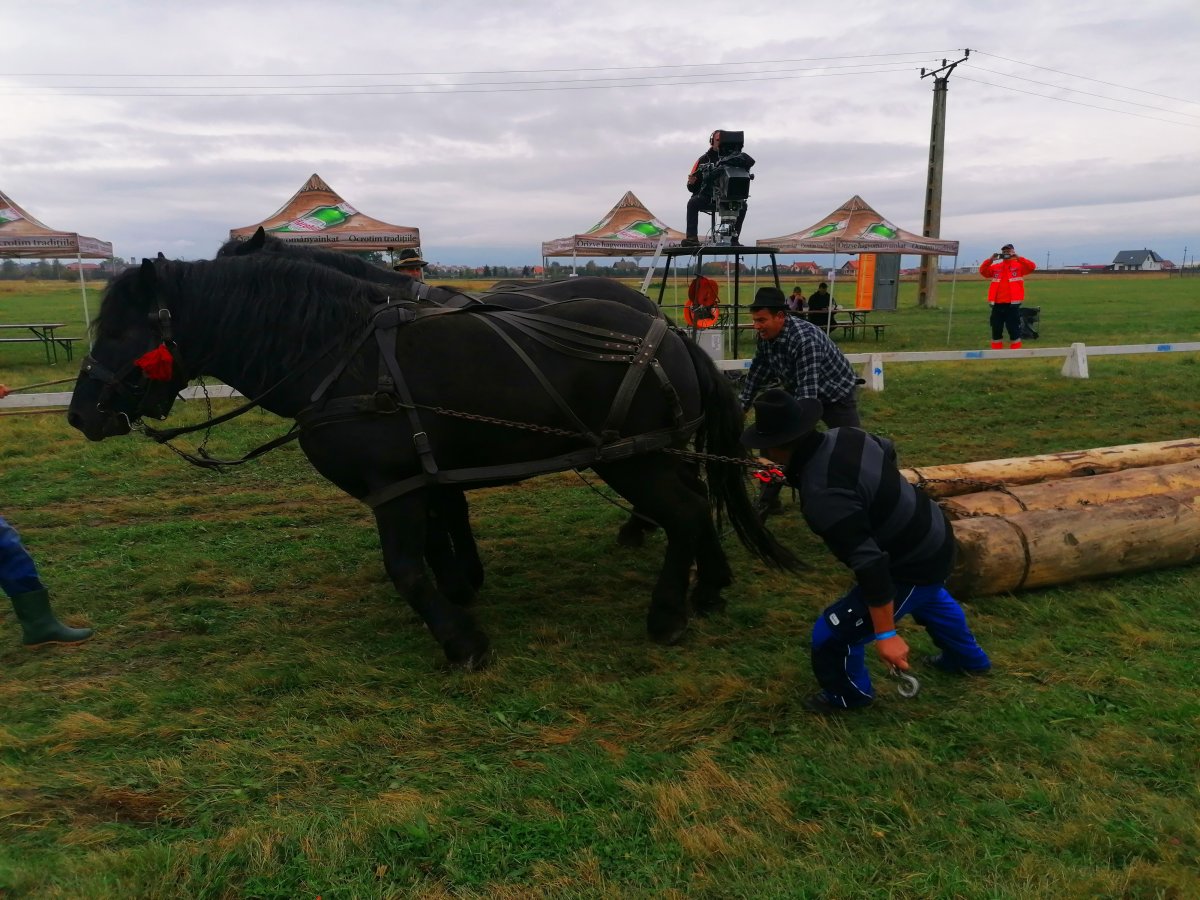 &bullet;  Fotó: Fehér Csongor