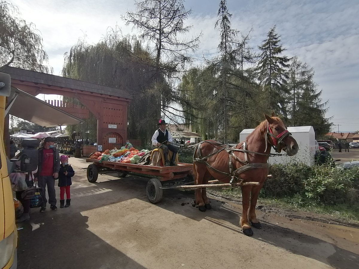 &bullet;  Fotó: Hegyi Zsuzsanna