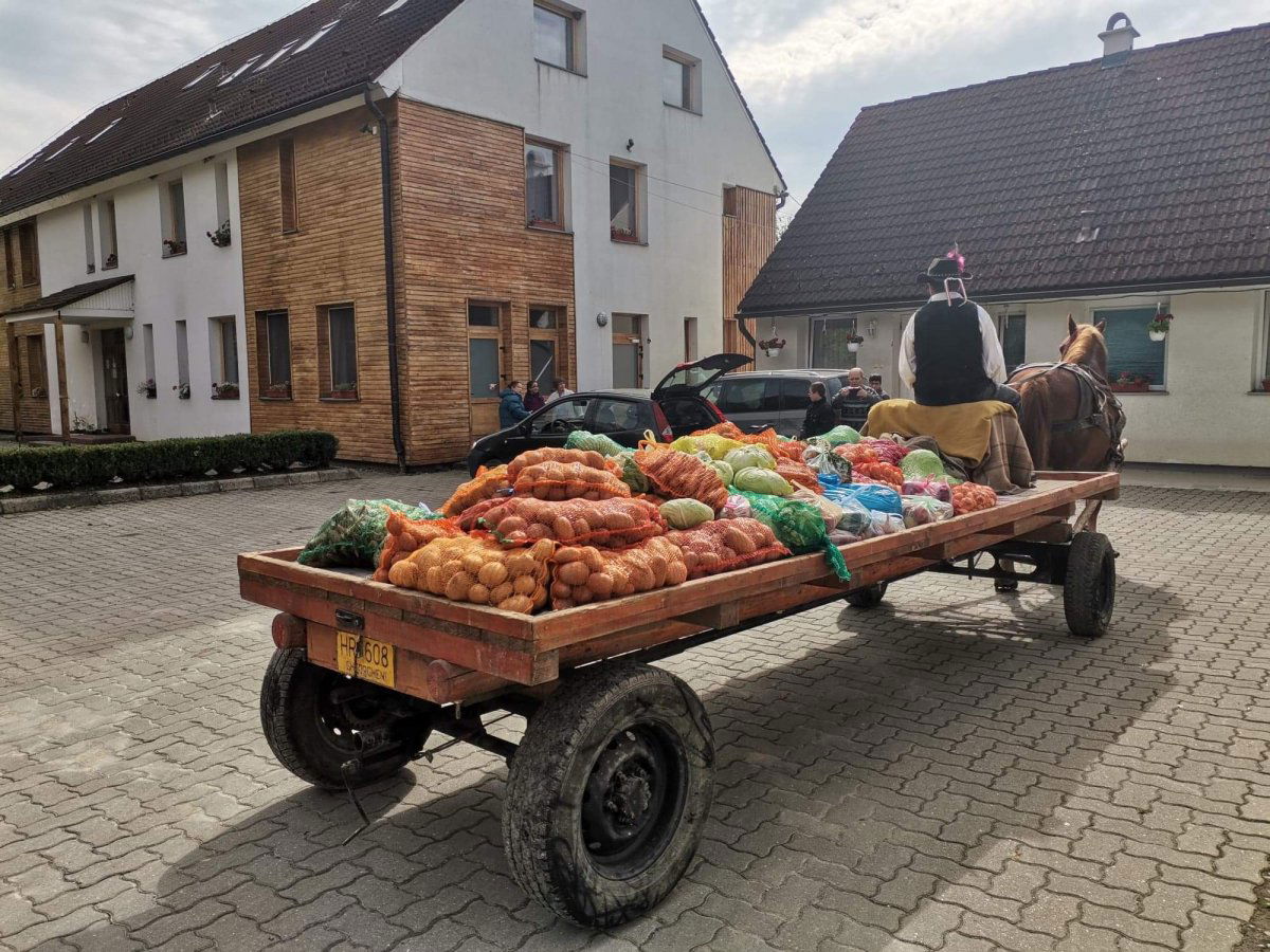 &bullet;  Fotó: Hegyi Zsuzsanna