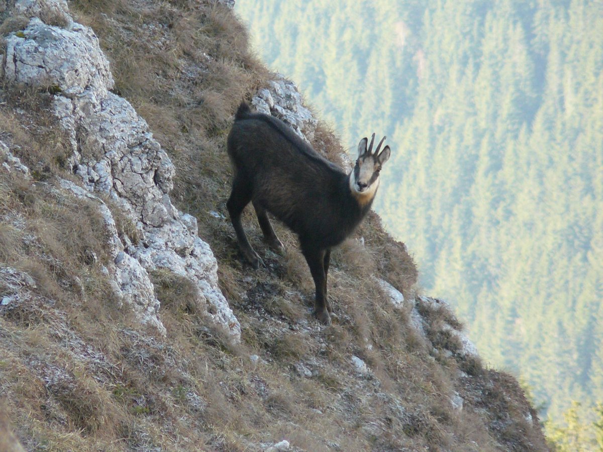 &bullet;  Fotó: Békás-szoros - Nagyhagymás Nemzeti Park Facebook-oldala