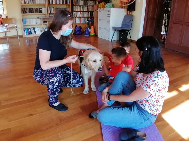 Terápiás jelleggel is bíró kutyás programot tartanak Gyergyószentmiklóson