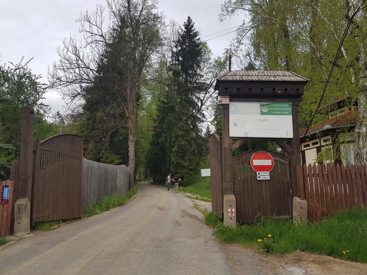 Május közepétől ismét várják a kirándulókat •  Fotó: Gergely Imre