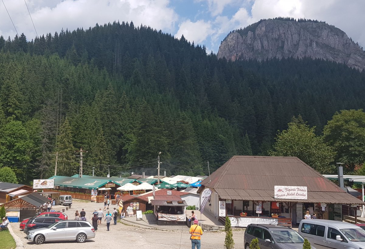 A remények szerint a fő turistaidényben nem kell majd a medvéktől tartani Gyilkostón •  Fotó: Gergely Imre