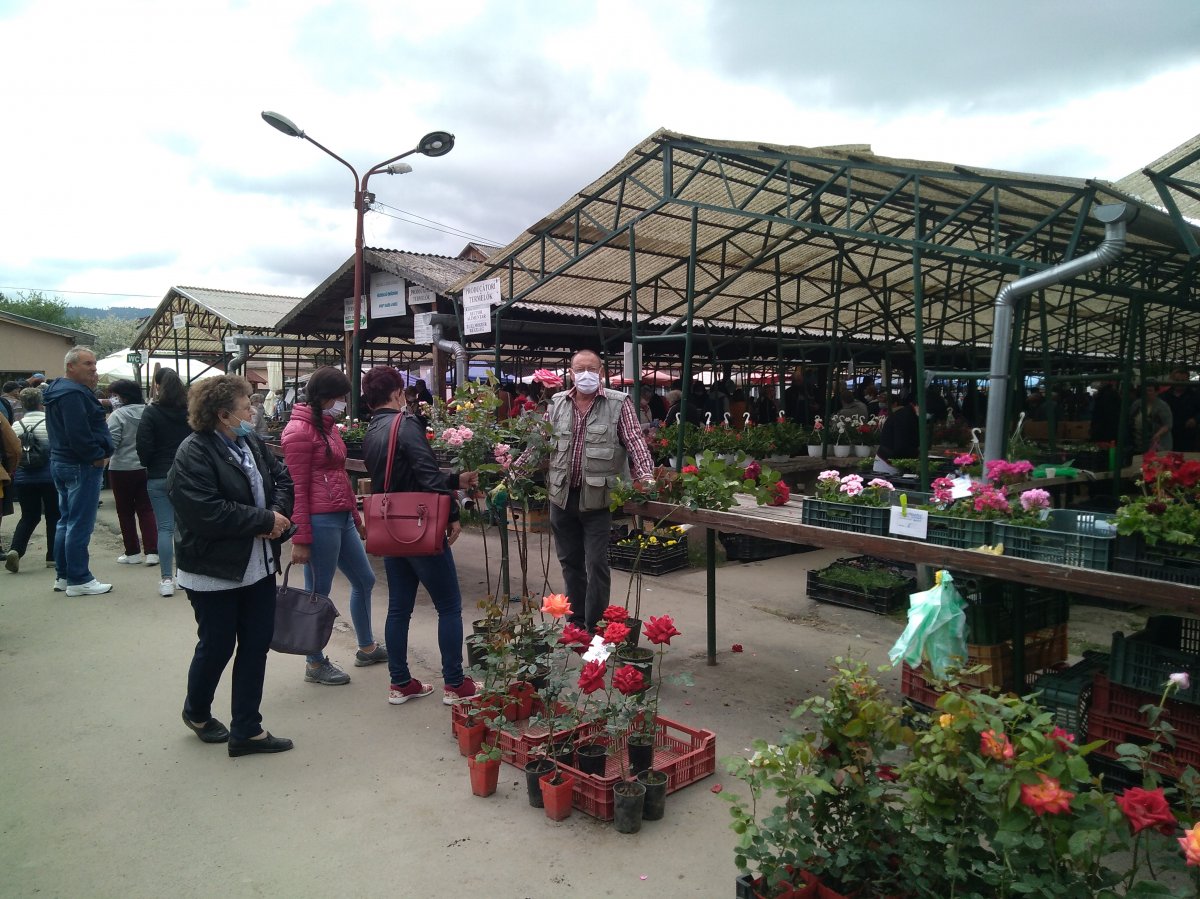 &bullet;  Fotó: Barabás Orsolya