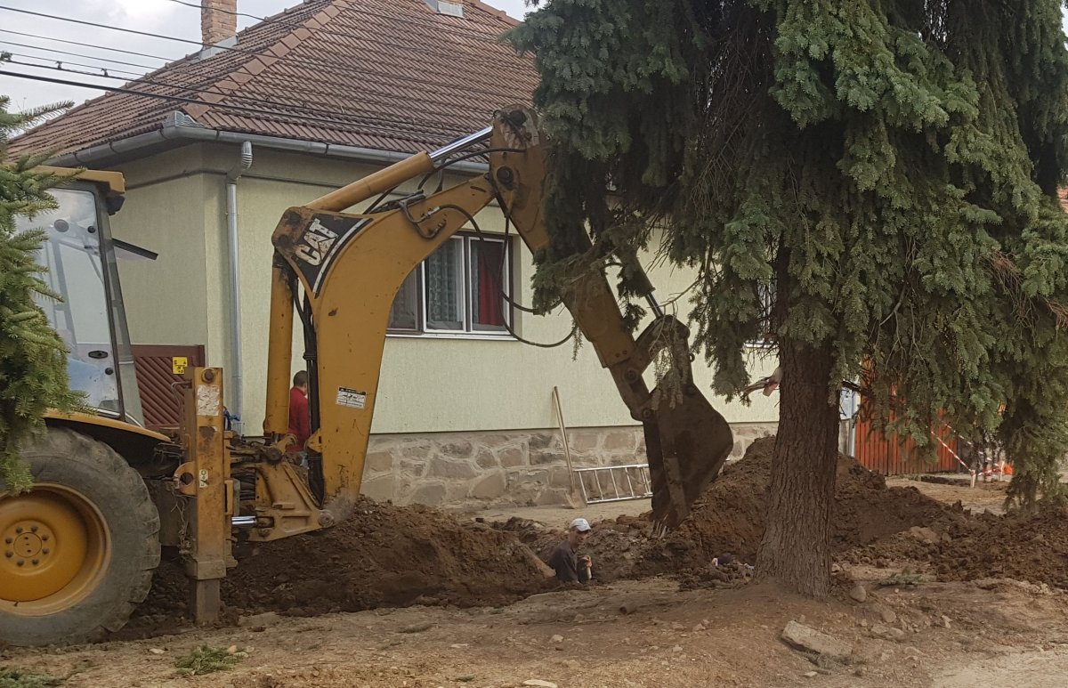 •  Fotó: Gergely Imre